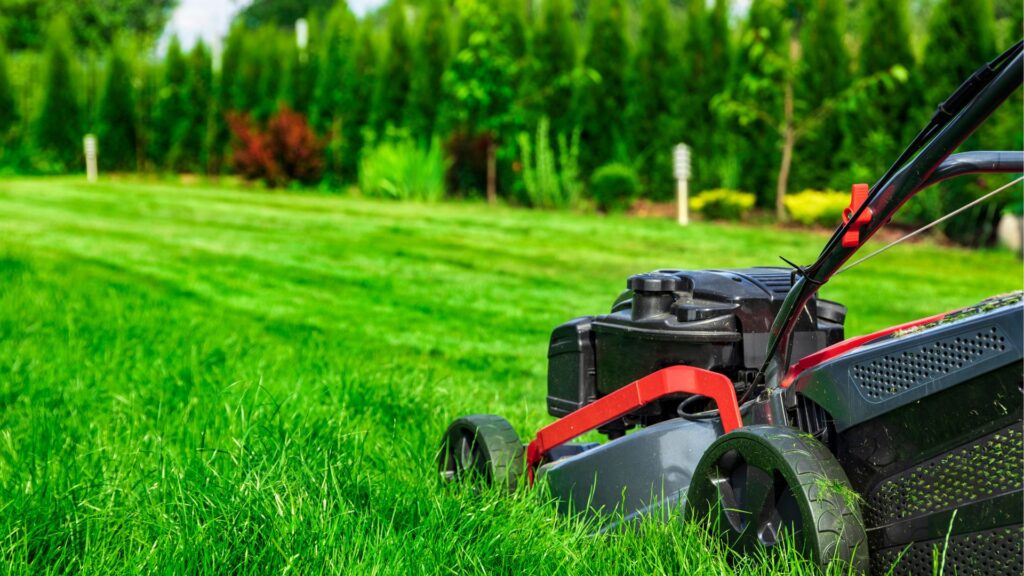 Kosten für Hausmeisterdienste in Aachen - Hausmeister Hansemann - Preise