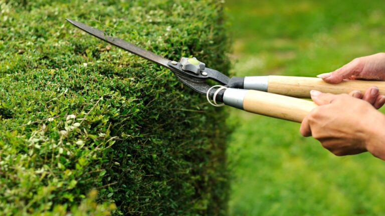 Gartenpflege in Aachen - Hausmeister Hansemann - Hausmeisterservice - Hausmeisterdienst